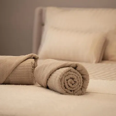 Monceau, T3 Moderne Climatise غرونوبل