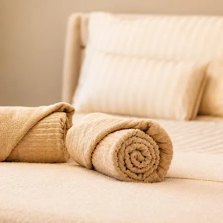 Monceau, T3 Moderne Climatise شقة غرونوبل